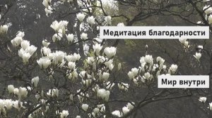 Очень сильная практика благодарности | Измени свою жизнь за 10 минут