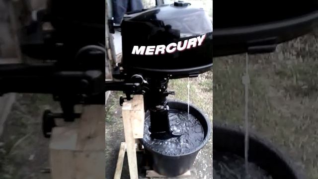 Работа лодочного мотора Меркурий F6М.
