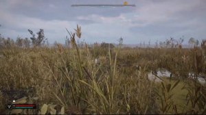 Как пройти через запутанную хижину, Через тернии к звё