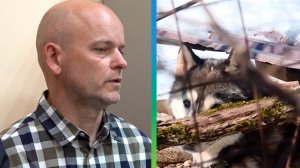 Хозяина напавших на ребенка в Сочи хаски приговорили к полутора годам лишения свободы