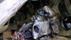 На всякий. Прокладкв теплообменника xtrail t31 qr25de cvt