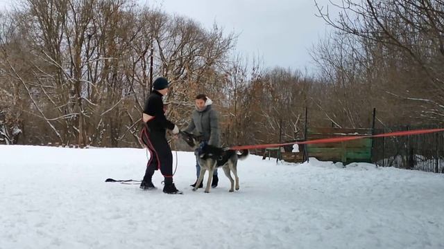 Ольвал Дэнис МАЖОР (9 мес.) смотреть онлайн