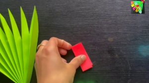 Цветы из цветной бумаги.