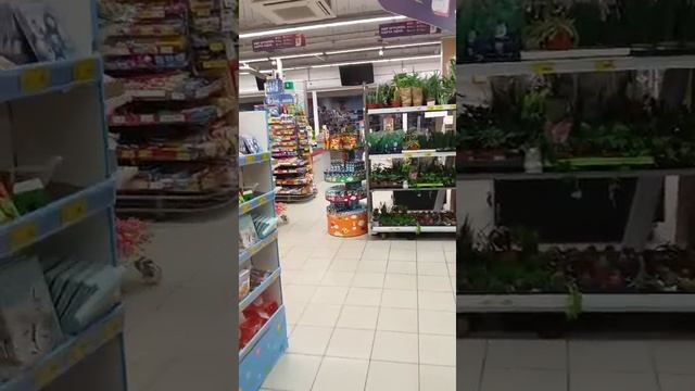 Карталы вход и ТЗ