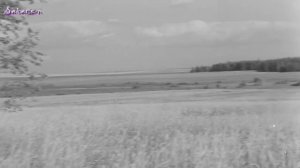 Николай Носков - Пропавшим без вести