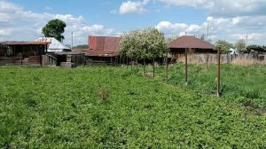 Установка столбов для сетки Рабицы