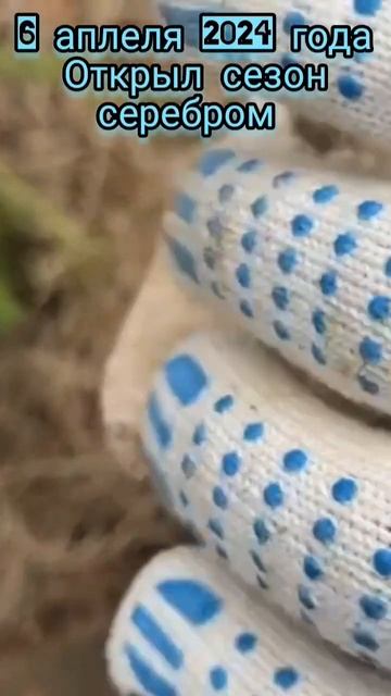 Первый сигнал! Я в шоке! #garrett #metaldetecting #коп #металлоиска смотреть онлайн