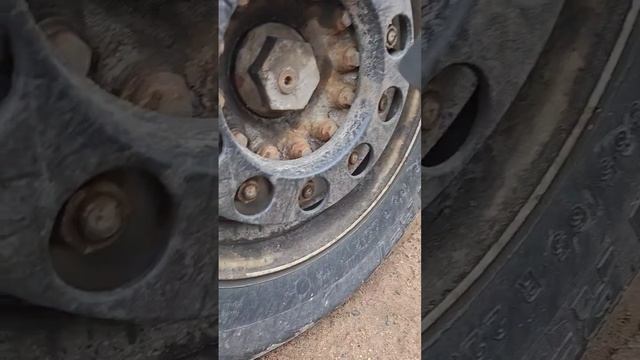 китаец который смог #могилев #могилевлайф #тест #гайко? смотреть онлайн