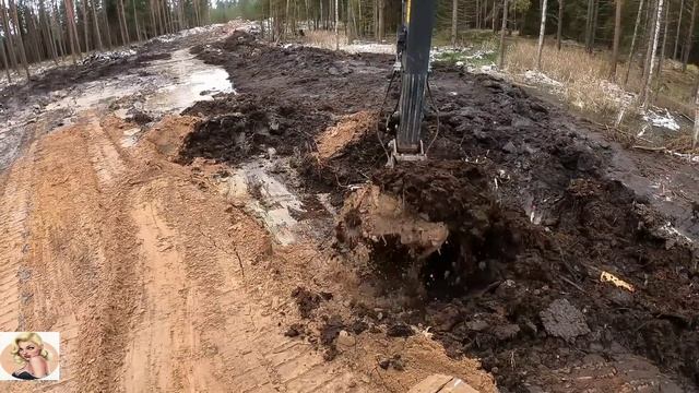 Строительство, лесная дорога