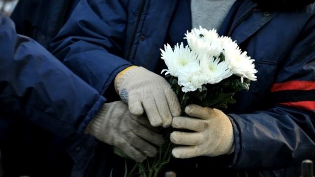 Хризантемы цветы прощальные смотреть онлайн