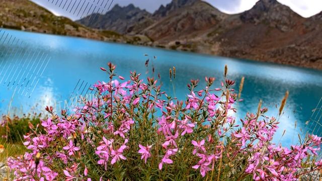 Весенний релакс! Пусть отдохнет душа! смотреть онлайн