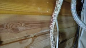 💥Гибкая подводка для воды Lavita из нержавеющей стали с