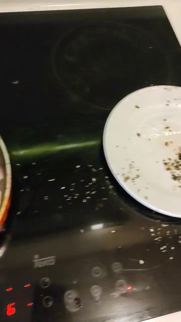 145 готовка еды. Нужно опустошить холодильник. 4 дня до о смотреть онлайн