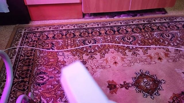 29.12.24. В ванной красота. Ковер почистила. В магазин сход смотреть онлайн