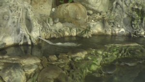 Сказочное спа с водой студеной и водой вареной