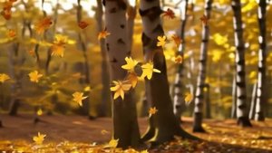 Отговорила роща золотая | С.А. Есенин | Песня осень, в ко