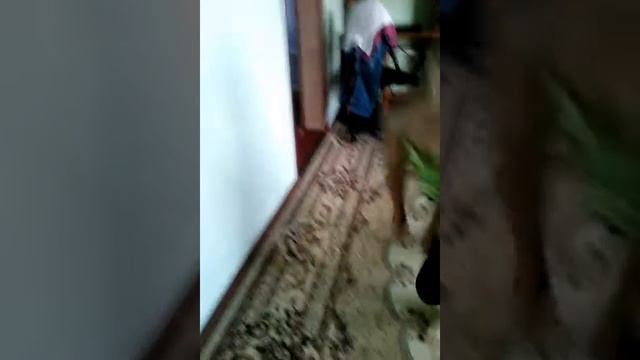 Стойка на локтях смотреть онлайн