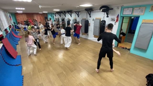 Тренировка 04 декабря 2024 года. Киокусинкай каратэ в Кли смотреть онлайн