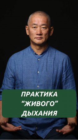 Практика "живого" дыхания