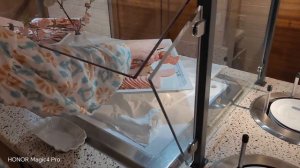 Astoria Grande: видеообзор лайнера. Astoria Grande: video review of the liner