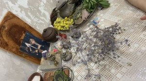 Трава синеголовник или пустотный чертополох. От каки?