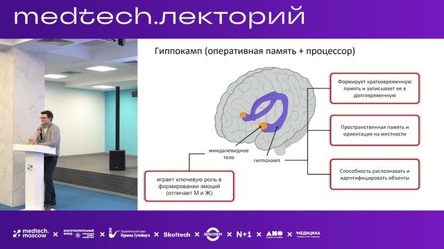 Почему мозг — не просто "биокомпьютер"? | Лекция Егора ? смотреть онлайн