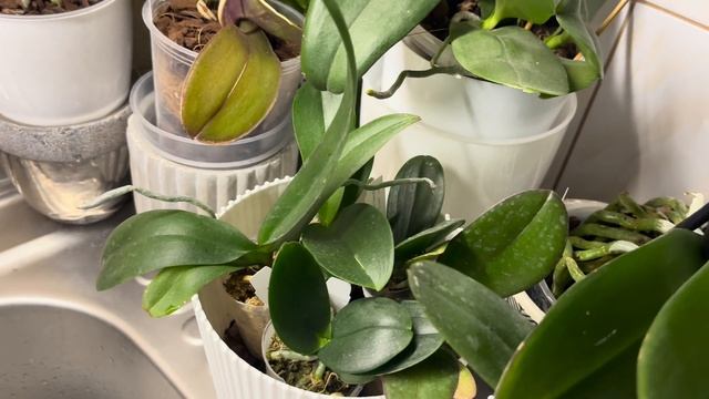 Подростки 1,7 и 2,5. Видео по просьбе подписчицы 💕🦋 смотреть онлайн