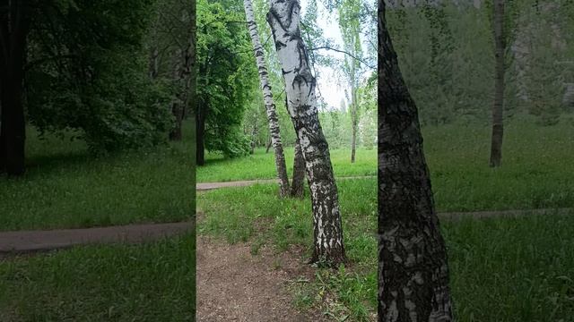 Стерлитамак