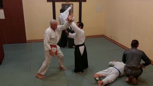 Айкидо (иккё)