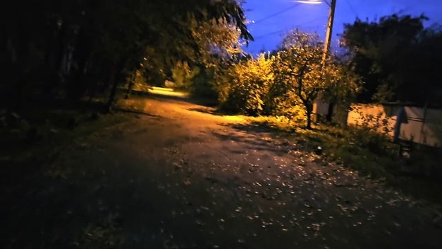 🛑ДНЕПР ‼️ЖИЛЕТ за 💯 гривень 💥1 ноября 2024 г. смотреть онлайн