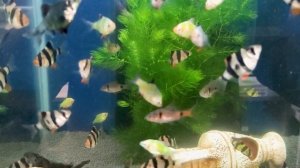 МИХАИЛ ЛАБКОВСКИЙ - НОВОЕ 2023! Слова, которые МЕНЯЮТ ТЕБЯ...