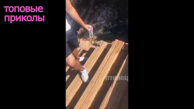 СМЕШНЫЕ МОМЕНТЫ,ЛУЧШИЕ НОВЫЕ ПРИКОЛЫ ИЮЛЬ 2018 ржака до слез угар видео приколы 2018 #78