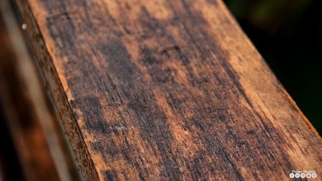 Вальс дождя! Самая красивая мелодия на свете! Эту музы? смотреть онлайн