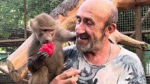 Мы пришли к Люсе с арбузом, носухи набросились и арбуза не стало за минуту