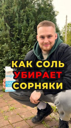 👉Правда ли, что обычная пищевая соль помогает справиться с сорняками?🤔