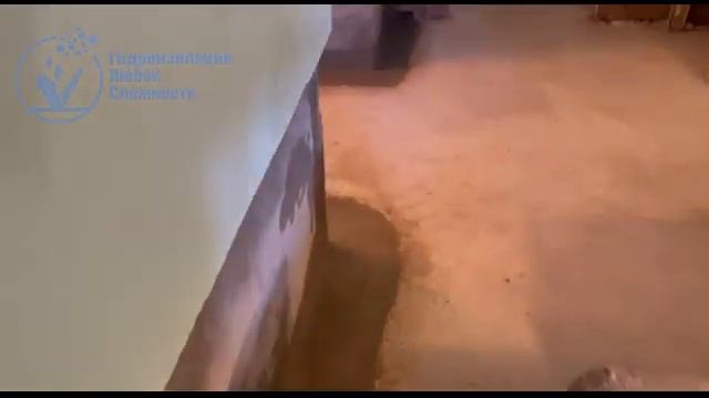 Гидроизоляция цокольного этажа жилого помещения. смотреть онлайн