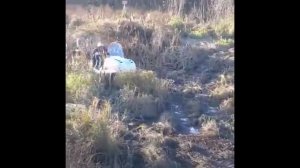 Вездеход ВЕХОР по болоту