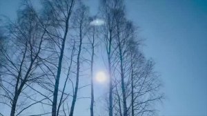 Участок 6,3 сотки под ПМЖ