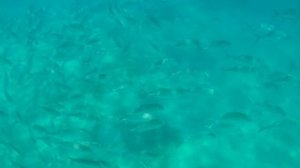 Эх, надо было удочку взять 🐟🐟🐟