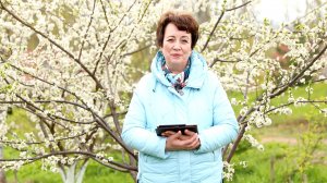 3530. Хлеб на каждый день. 27 мая - День города.