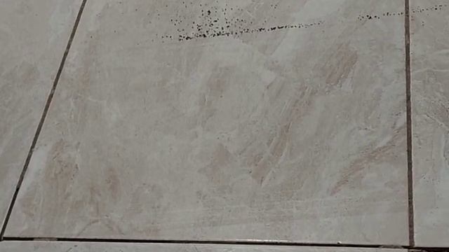 робот пилосос XU3110 для розетки смотреть онлайн