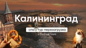Калининград влог: уникальная куршская коса, спа с видом на Балтику и лисы