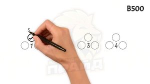 Маркетинг площадки B500 компании Манеки Неко