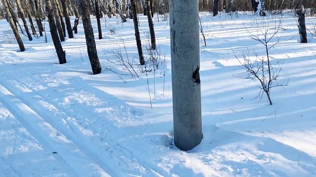 Тестируем лыжи BRADOS carbon skate. смотреть онлайн