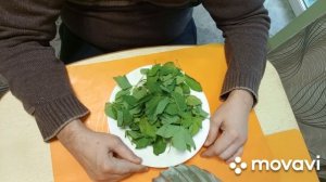 СНЫТЬ. Целебный отвар из сныти. Создано с участием иск?