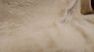 короткометражки миньоны в школе: история крипера взрыватовича