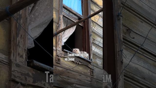 Этот дом может стоить 4 200 000  #модульный дом  #строительствожилья