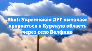 Shot: Украинская ДРГ пыталась прорваться в Курскую область через село Волфино