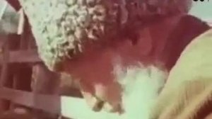 Жималла  старик прикол чечня