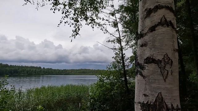Озеро Светлояр. Мотопоездка из Ветлуги на Светлояр. Тр